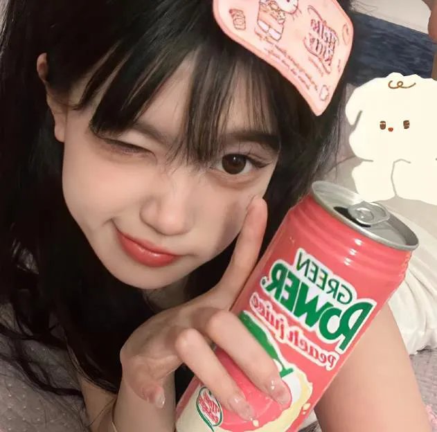 忍冬玫瑰